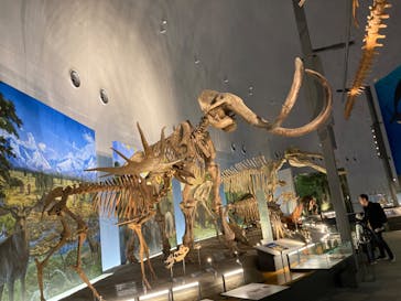 福井県立恐竜博物館に投稿された画像（2024/1/9）