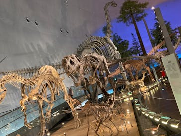 福井県立恐竜博物館に投稿された画像（2024/1/9）