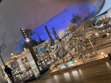 福井県立恐竜博物館に投稿された画像（2024/1/9）