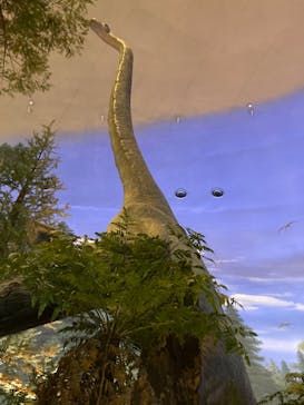 福井県立恐竜博物館に投稿された画像（2024/1/9）