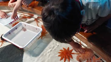 しながわ水族館に投稿された画像（2024/1/9）