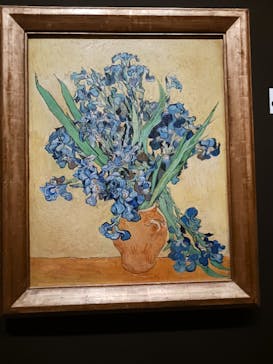 ゴッホと静物画　伝統から革新へ（SＯＭＰＯ美術館）に投稿された画像（2024/1/9）