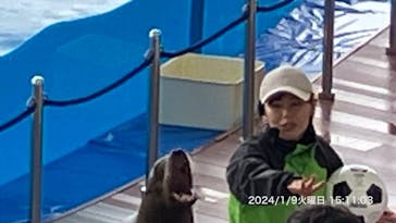 マリンワールド海の中道に投稿された画像（2024/1/9）