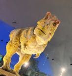 福井県立恐竜博物館に投稿された画像（2024/1/9）