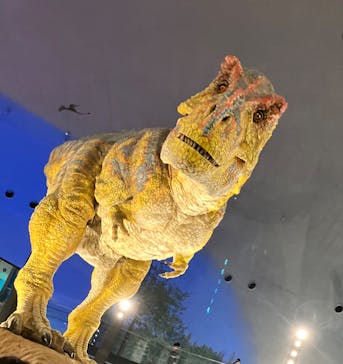 福井県立恐竜博物館に投稿された画像（2024/1/9）