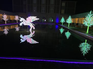 神戸イルミナージュに投稿された画像（2024/1/9）