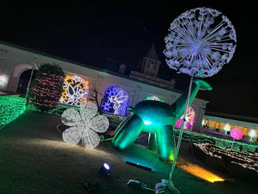 神戸イルミナージュに投稿された画像（2024/1/9）