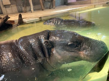 NIFREL（ニフレル）に投稿された画像（2024/1/9）