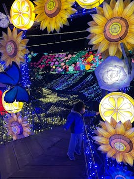 伊豆ぐらんぱる公園に投稿された画像（2024/1/9）