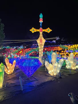 伊豆ぐらんぱる公園に投稿された画像（2024/1/9）