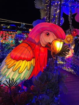 伊豆ぐらんぱる公園に投稿された画像（2024/1/9）