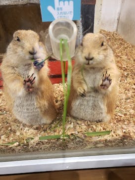 アニタッチみなとみらいに投稿された画像（2024/1/9）