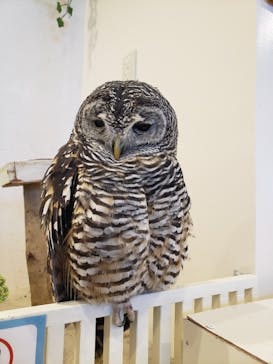 アニタッチみなとみらいに投稿された画像（2024/1/9）