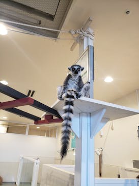 アニタッチみなとみらいに投稿された画像（2024/1/9）