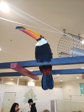 アニタッチみなとみらいに投稿された画像（2024/1/9）