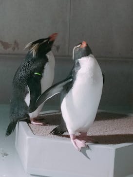 AOAO SAPPOROに投稿された画像（2024/1/9）