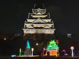 大阪城イルミナージュに投稿された画像（2024/1/10）