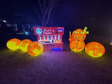 大阪城イルミナージュに投稿された画像（2024/1/10）