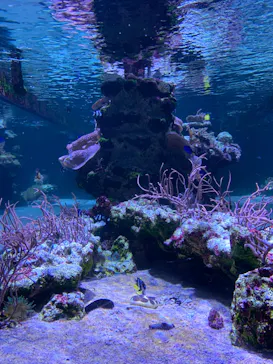 すみだ水族館に投稿された画像（2024/1/10）