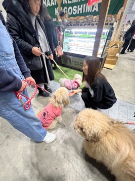 Pet博2026 横浜に投稿された画像（2024/1/10）