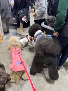 Pet博2026 横浜に投稿された画像（2024/1/10）