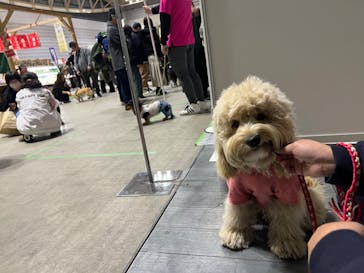 Pet博2026 横浜に投稿された画像（2024/1/10）