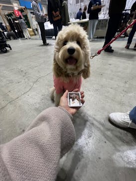 Pet博2026 横浜に投稿された画像（2024/1/10）