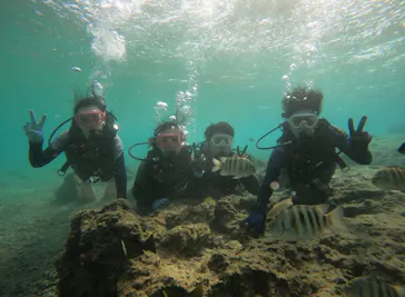 武藤潜水に投稿された画像（2024/1/10）