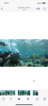 武藤潜水に投稿された画像（2024/1/10）