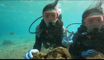 武藤潜水に投稿された画像（2024/1/10）