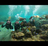 武藤潜水に投稿された画像（2024/1/10）