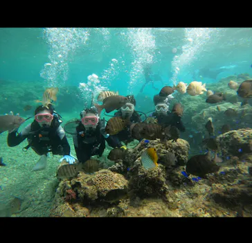 武藤潜水に投稿された画像（2024/1/10）