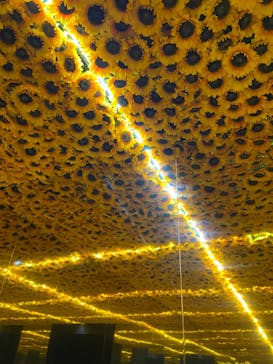 ゴッホ・アライブに投稿された画像（2024/1/10）