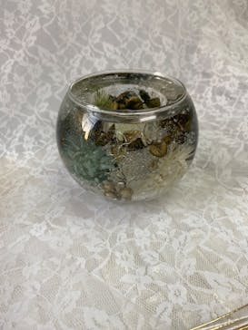 ずこうしつ〜sugamo〜に投稿された画像（2024/1/10）