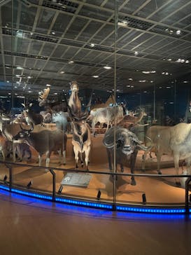 国立科学博物館に投稿された画像（2024/1/10）