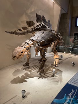 国立科学博物館に投稿された画像（2024/1/10）