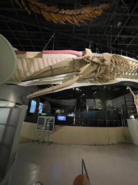 国立科学博物館に投稿された画像（2024/1/10）