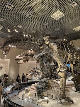 国立科学博物館に投稿された画像（2024/1/10）