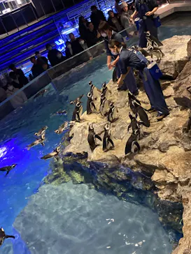 すみだ水族館に投稿された画像（2024/1/10）