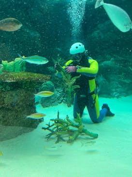 名古屋港水族館に投稿された画像（2024/1/10）