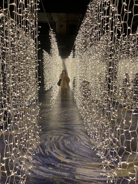 ゴッホ・アライブに投稿された画像（2024/1/10）