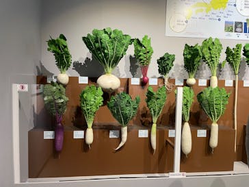 特別展「和食 ～日本の自然、人々の知恵～」に投稿された画像（2024/1/10）