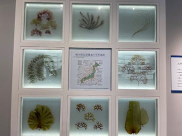 特別展「和食 ～日本の自然、人々の知恵～」に投稿された画像（2024/1/10）