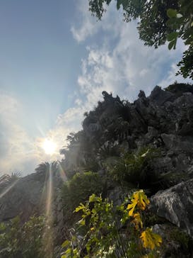 アスムイハイクスに投稿された画像（2024/1/10）