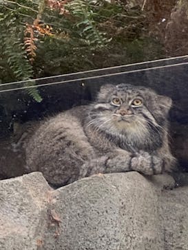 神戸どうぶつ王国に投稿された画像（2024/1/10）