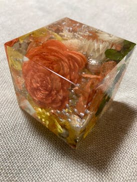 ずこうしつ〜sugamo〜に投稿された画像（2024/1/10）