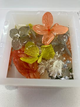 ずこうしつ〜sugamo〜に投稿された画像（2024/1/10）