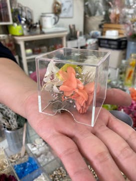 ずこうしつ〜sugamo〜に投稿された画像（2024/1/10）