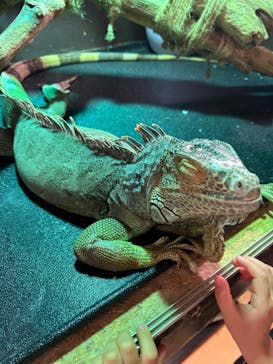 Moff animal cafe イオンモール幕張新都心店に投稿された画像（2024/1/10）