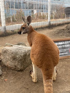 神戸どうぶつ王国に投稿された画像（2024/1/10）